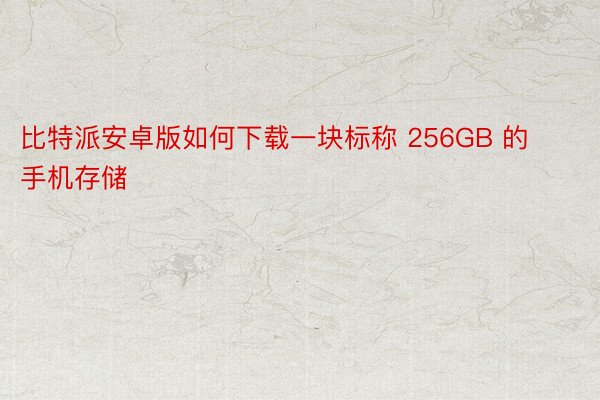 比特派安卓版如何下载一块标称 256GB 的手机存储
