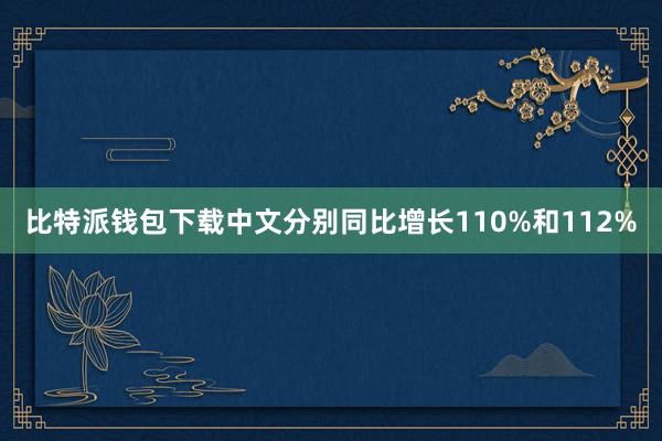 比特派钱包下载中文分别同比增长110%和112%