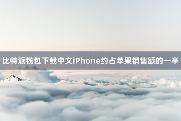 比特派钱包下载中文　　iPhone约占苹果销售额的一半
