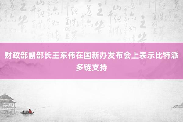 财政部副部长王东伟在国新办发布会上表示比特派多链支持