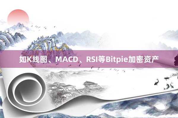 如K线图、MACD、RSI等Bitpie加密资产