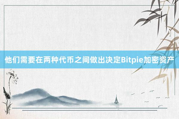 他们需要在两种代币之间做出决定Bitpie加密资产