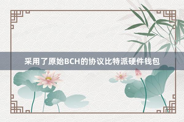 采用了原始BCH的协议比特派硬件钱包