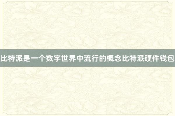 比特派是一个数字世界中流行的概念比特派硬件钱包