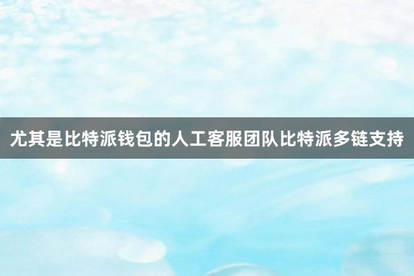 尤其是比特派钱包的人工客服团队比特派多链支持