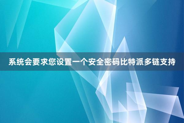 系统会要求您设置一个安全密码比特派多链支持