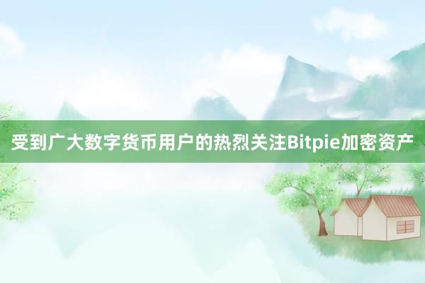 受到广大数字货币用户的热烈关注Bitpie加密资产