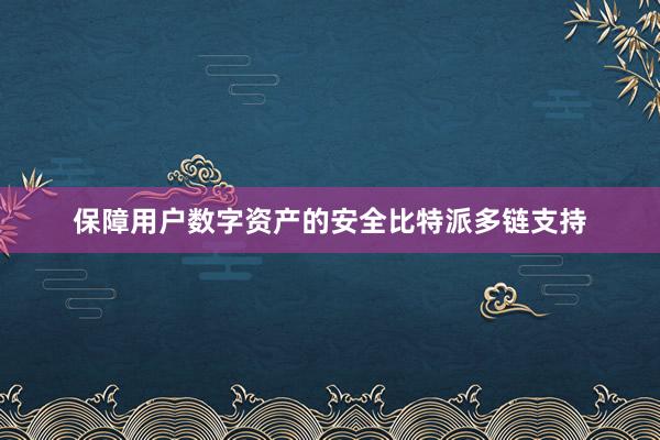 保障用户数字资产的安全比特派多链支持