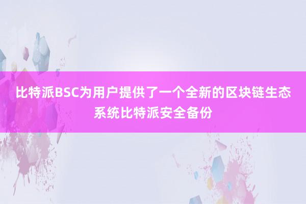 比特派BSC为用户提供了一个全新的区块链生态系统比特派安全备份