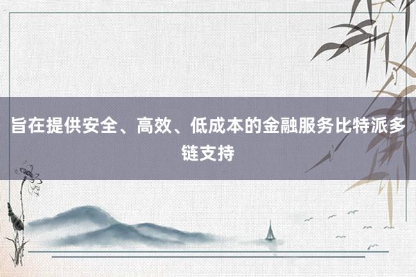 旨在提供安全、高效、低成本的金融服务比特派多链支持