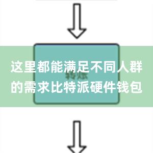 这里都能满足不同人群的需求比特派硬件钱包