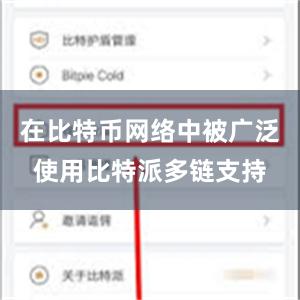 在比特币网络中被广泛使用比特派多链支持