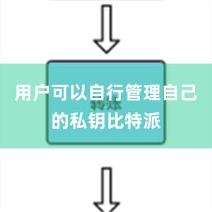 用户可以自行管理自己的私钥比特派