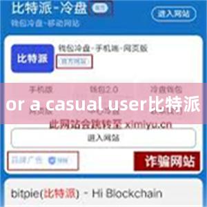 or a casual user比特派